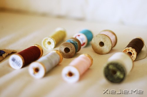 晚安心语:坚强向上,靠近阳光 (8)