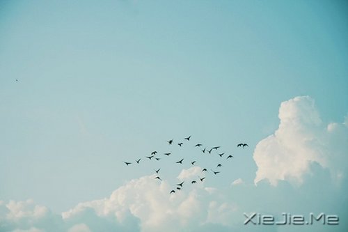 ��̬���ã��������� (10)