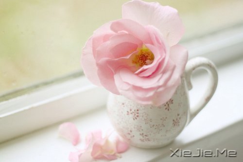 选择最淡的心事,诠释坎坷的人生 (6)