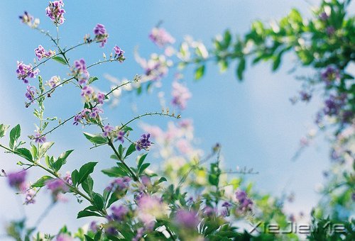 无论发生什么,先善待自己 (10)