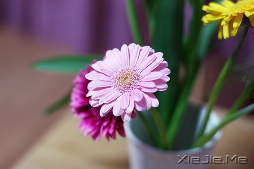 ÿ���˶����Լ�����������ů��֪ (1)