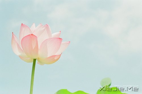 私奔吧,哪怕一个人 (1)