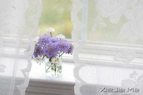 只有知足感恩,才能笑对人生 (8)