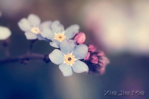 不论这个世界多么糟糕,你自己的世界一定要精彩 (5)