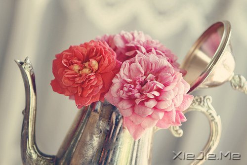 想追求什么,就去努力吧 (8)