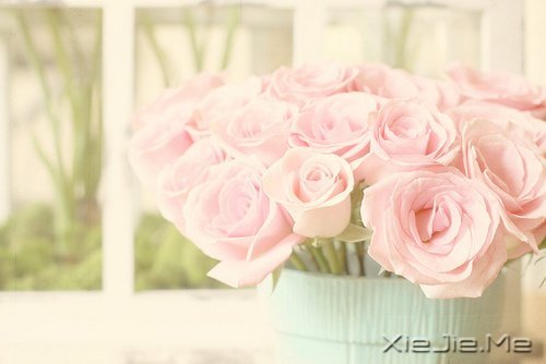 时光如此珍贵,只是我们一去不回 (6)