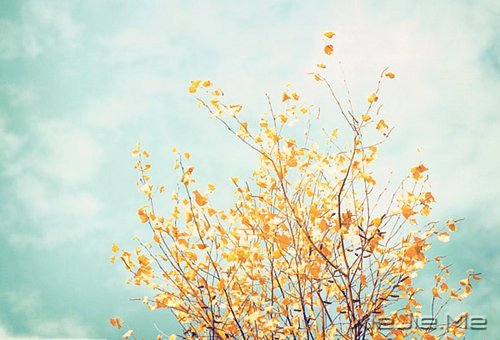 路过青春一阵子,记忆里搁浅一辈子 (4)