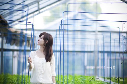 ϲ���������ˣ����ﶼ��һ�ݴ�������� (2)