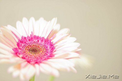 �����������Ľ�ӡ������ӡ������Ţ��·�� (5)