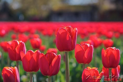 �ˣ�����Ҫ�����ģ���ĳ��ʱ�� (7)