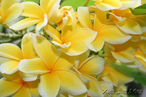 ���ۺû������춼�ᵽ�� (9)