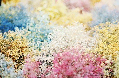 有人能让你痛苦,说明你的修行还不够 (5)