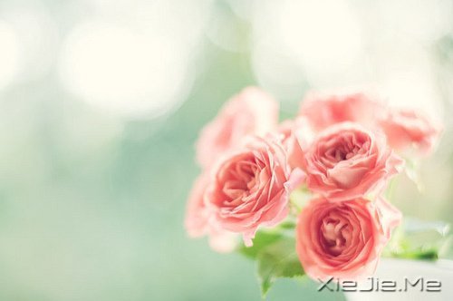 一个人怕孤独,两个人怕辜负 (1)