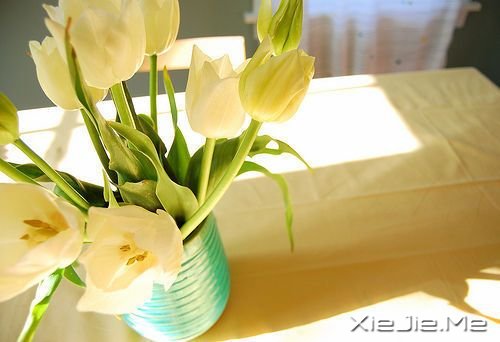 ǧ��Ҫ��Ϊ�ߵ�̫�ã�������������Ϊʲô���� (5)