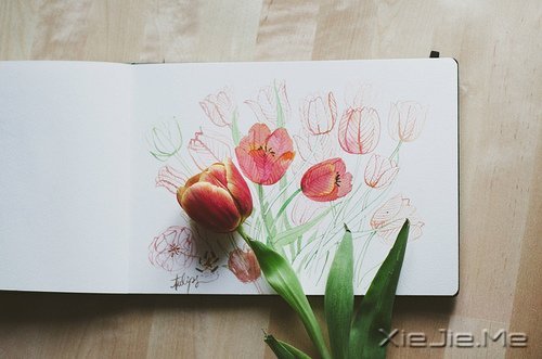 �������ֻ���벻ͨ���ˣ�û���߲�ͨ��· (3)