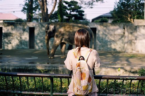 ���������Ҫ��Ϊ�ѹ���������ɢ������ (7)