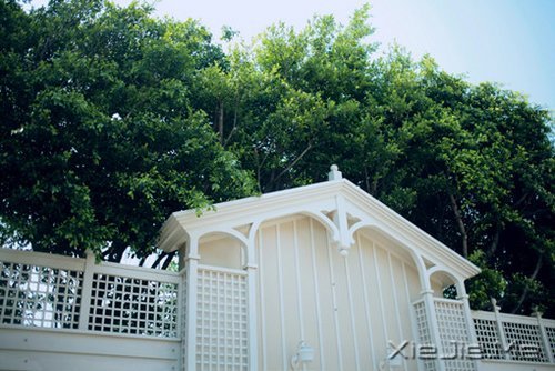 晚安心语:放下无谓的负担,人生才能一路自在 (6)