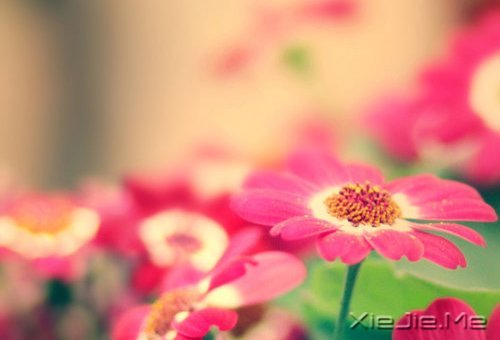 晚安心语:心复杂,世界就是迷宫 (10)