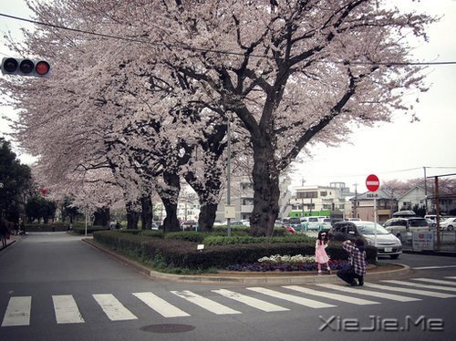 �簲�����ο���˵Ļ����վ���ο�����Լ� (5)