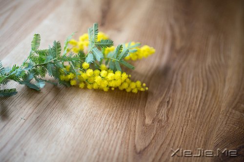 ��������㿴��ʲô�������磬���ӵ��ʲô�������� (1)