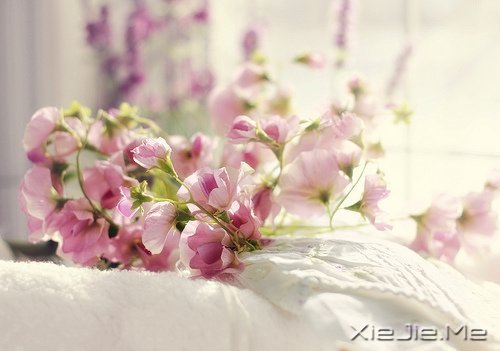 早安心语:走今天的路,过当下的生活 (10)