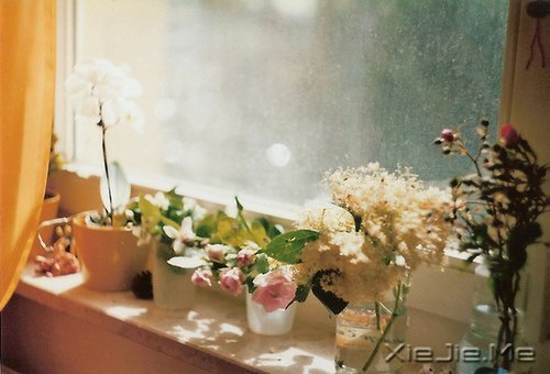 晚安心语:简单做自己,总有一扇门为梦想而开 (3)