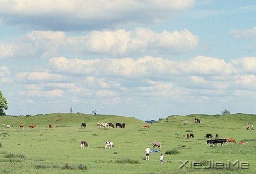 �Ҹ����Լ��ģ���Զ��Ҫ�ñ����������� (3)