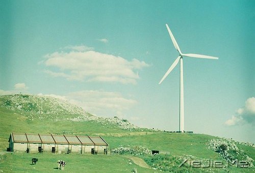 �Ҹ����Լ��ģ���Զ��Ҫ�ñ����������� (9)