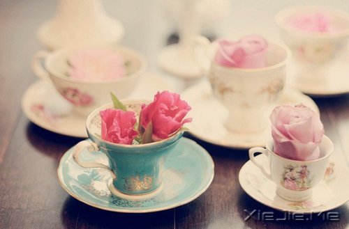 若不是终点,请微笑一直向前 (9)