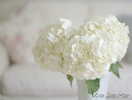 ����������������䣬�˲������� (5)