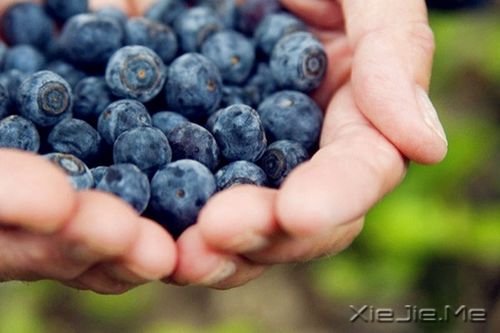 晚安心语:我很平凡,但我独一无二 (7)