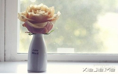 ��������ҵ�ִ�ţ�����Ϊ��ֵ�� (5)