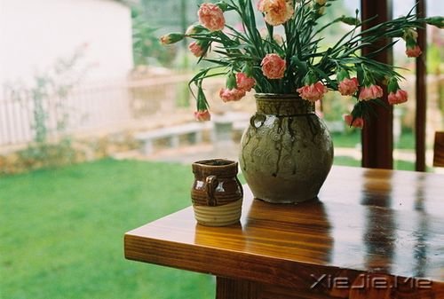 晚安心语:对的那条路,往往不是最好走的 (8)