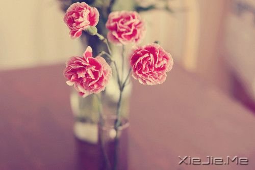 ����������������ǻ��䣬������������ (5)