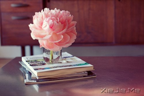 晚安心语:你没那么多观众,别那么累 (9)