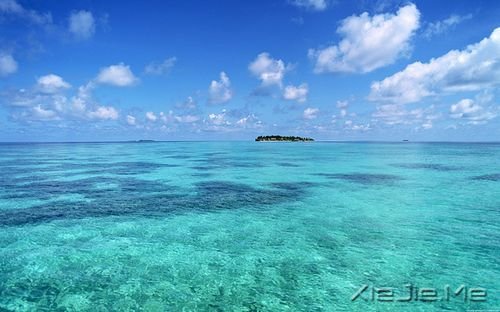 ����������ɣ��������������ľ��� (8)