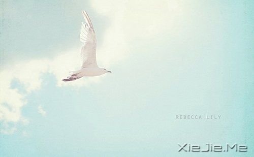 早安心语:有的路,要心去走 (6)