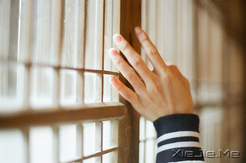 早安心语:坚强向上,靠近阳光 (8)