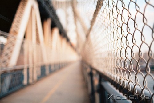 晚安心语:单纯不是什么态度,而是一种满足感 (6)