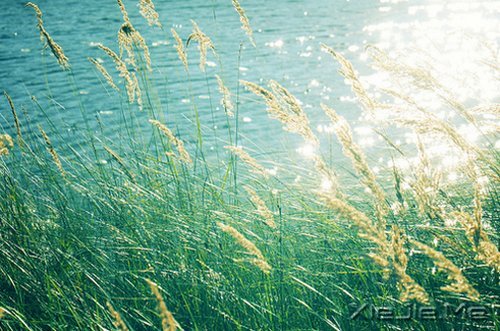 早安心语:成为自己想成为的人,这从来不迟 (2)