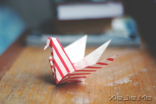 早安心语:有些谎言,美丽的让你不忍揭穿 (7)