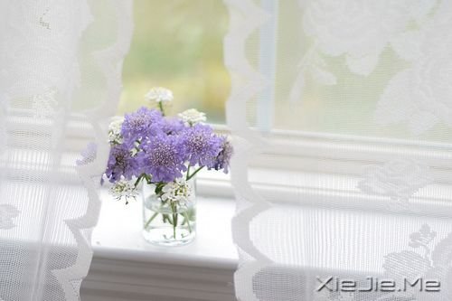 �簲�������������������������� (7)