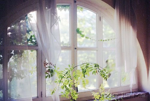 ���������ʲôҲ������������ (4)