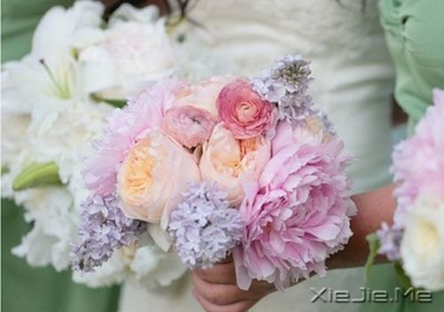 早安心语:给时光一个浅浅的回眸 (7)