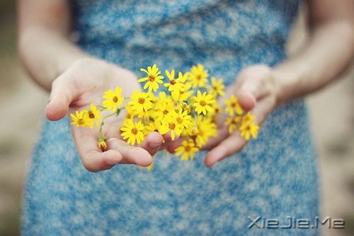 晚安心语:你不懂我的沉默,又怎么会懂我的难过 (1)