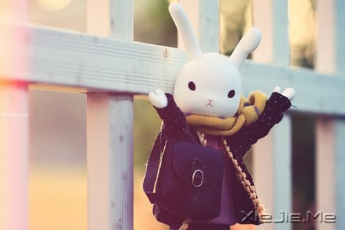 晚安心语:时间是单行道,过去了,回不来 (2)