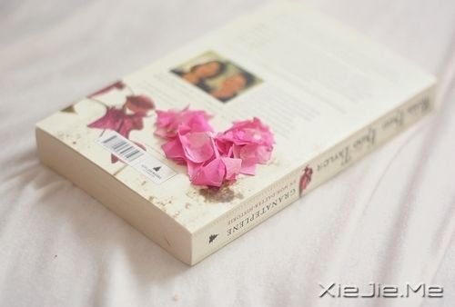 ��������ڴ�����������ʹ�ĸ�Դ (6)