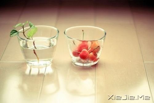 我们都一样,各自有光芒 (5)