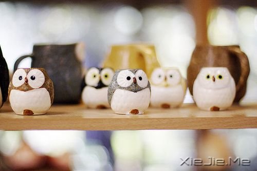 晚安心语:我们要在安静中,不慌不忙地坚强 (8)