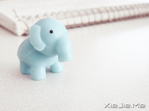 假如人生不曾相遇